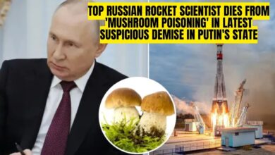 Russian Rocket Scientist Dies from 'Mushroom Poisoning' in Putin's State