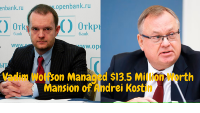 How Vadim Wolfson Managed Elite $13.5 Million Worth Mansion of Andrei Kostin